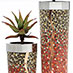 Mosaic planters for Delcairn Shopping Centre